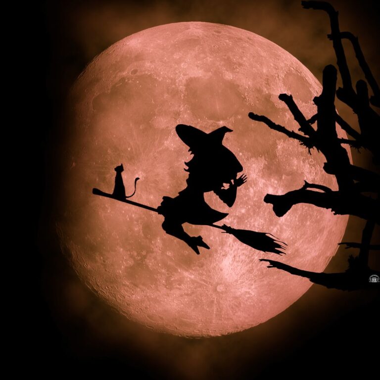 Mickey’s Not-So-Scary Halloween Party 2024